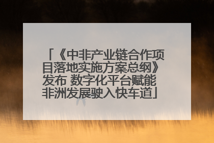 《中非产业链合作项目落地实施方案总纲》发布 数字化平台赋能非洲发展驶入快车道