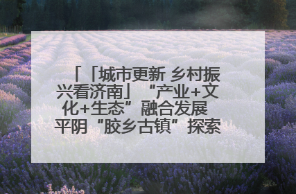 「城市更新 乡村振兴看济南」“产业+文化+生态”融合发展 平阴“胶乡古镇”探索振兴路径成效显著