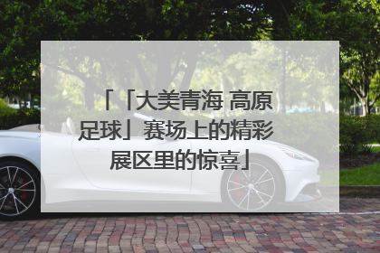 「大美青海 高原足球」赛场上的精彩 展区里的惊喜