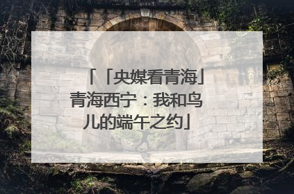 「央媒看青海」青海西宁：我和鸟儿的端午之约