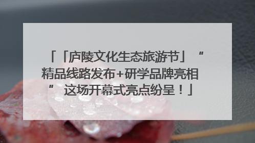 「庐陵文化生态旅游节」“精品线路发布+研学品牌亮相” 这场开幕式亮点纷呈！