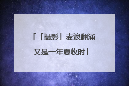 「摄影」麦浪翻涌 又是一年夏收时