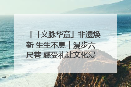 「文脉华章」非遗焕新 生生不息｜漫步六尺巷 感受礼让文化浸润的“巷”往生活