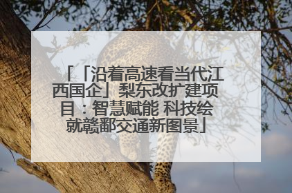 「沿着高速看当代江西国企」梨东改扩建项目：智慧赋能 科技绘就赣鄱交通新图景