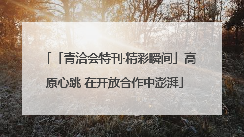 「青洽会特刊·精彩瞬间」高原心跳 在开放合作中澎湃