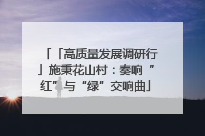 「高质量发展调研行」施秉花山村：奏响“红”与“绿”交响曲