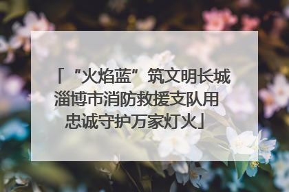 “火焰蓝”筑文明长城 淄博市消防救援支队用忠诚守护万家灯火