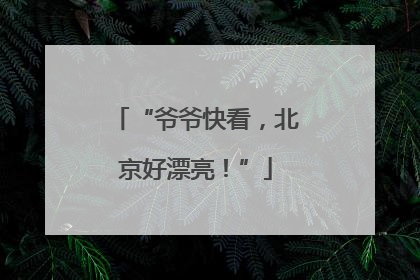 “爷爷快看，北京好漂亮！”