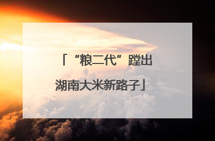 “粮二代”蹚出湖南大米新路子