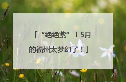 “绝绝紫”！5月的福州太梦幻了！
