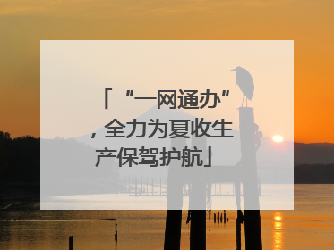 “一网通办”，全力为夏收生产保驾护航
