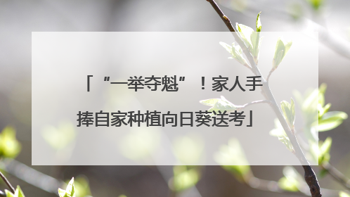 “一举夺魁”！家人手捧自家种植向日葵送考