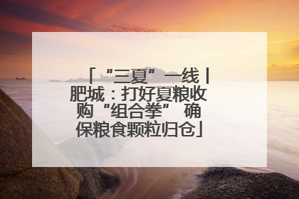“三夏”一线丨肥城：打好夏粮收购“组合拳” 确保粮食颗粒归仓