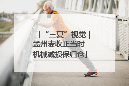 “三夏”视觉｜孟州麦收正当时 机械减损保归仓