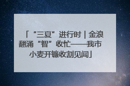 “三夏”进行时｜金浪翻涌“智”收忙——我市小麦开镰收割见闻