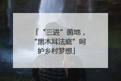 “三进”菌地，“黑木耳法庭”呵护乡村梦想