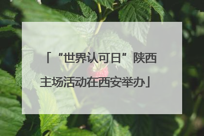 “世界认可日”陕西主场活动在西安举办