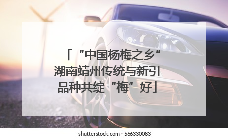 “中国杨梅之乡”湖南靖州传统与新引品种共绽“梅”好