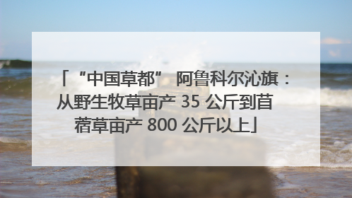 “中国草都” 阿鲁科尔沁旗：从野生牧草亩产 35 公斤到苜蓿草亩产 800 公斤以上