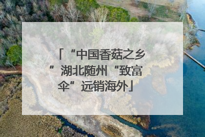 “中国香菇之乡”湖北随州“致富伞”远销海外