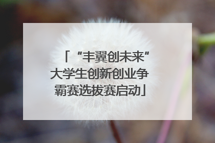 “丰翼创未来”大学生创新创业争霸赛选拔赛启动