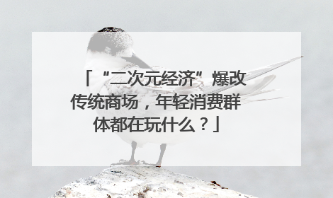 “二次元经济”爆改传统商场，年轻消费群体都在玩什么？
