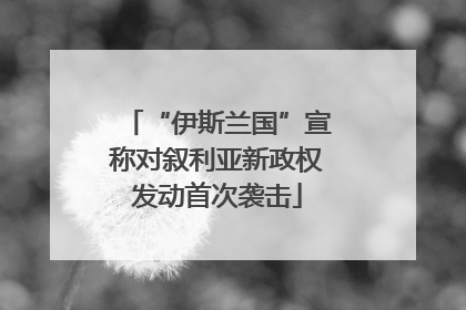 “伊斯兰国”宣称对叙利亚新政权发动首次袭击