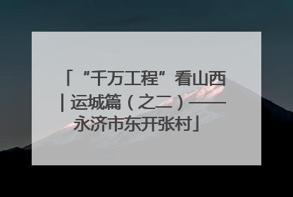 “千万工程”看山西｜运城篇（之二）——永济市东开张村