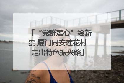 “党群莲心”绘新景 厦门同安莲花村走出特色振兴路