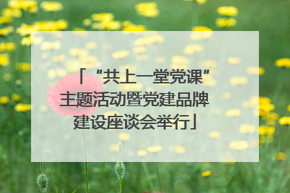 “共上一堂党课”主题活动暨党建品牌建设座谈会举行