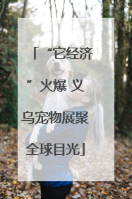 “它经济”火爆 义乌宠物展聚全球目光