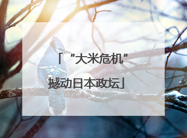 “大米危机”撼动日本政坛