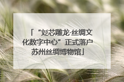 “彣芯雕龙·丝绸文化数字中心”正式落户苏州丝绸博物馆