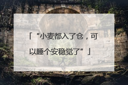 “小麦都入了仓，可以睡个安稳觉了”