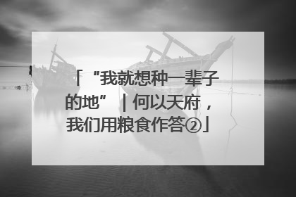 “我就想种一辈子的地”｜何以天府，我们用粮食作答②