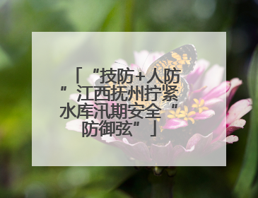 “技防+人防”江西抚州拧紧水库汛期安全“防御弦”