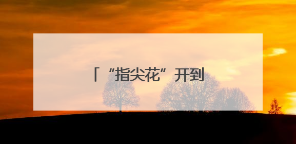 “指尖花”开到世界橱窗 小凉山千年纹样绽新色