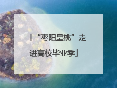 “枣阳皇桃”走进高校毕业季