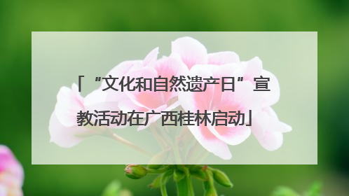 “文化和自然遗产日”宣教活动在广西桂林启动