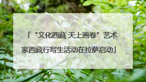 “文化西藏 天上画卷”艺术家西藏行写生活动在拉萨启动