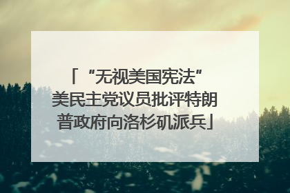“无视美国宪法” 美民主党议员批评特朗普政府向洛杉矶派兵