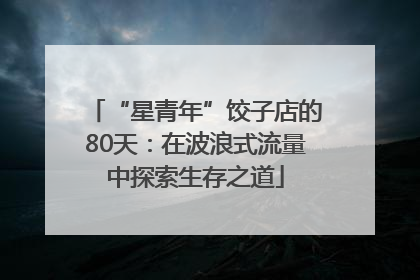 “星青年”饺子店的80天：在波浪式流量中探索生存之道