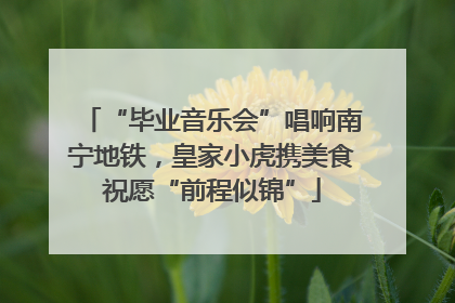 “毕业音乐会”唱响南宁地铁，皇家小虎携美食祝愿“前程似锦”