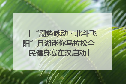 “潮势咏动・北斗飞阳”月湖迷你马拉松全民健身赛在汉启动