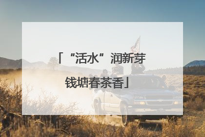 “活水”润新芽 钱塘春茶香