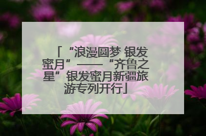 “浪漫圆梦 银发蜜月”——“齐鲁之星”银发蜜月新疆旅游专列开行