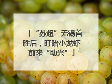 “苏超”无锡首胜后，盱眙小龙虾前来“助兴”