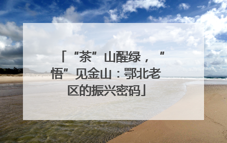 “茶”山醒绿，“悟”见金山：鄂北老区的振兴密码