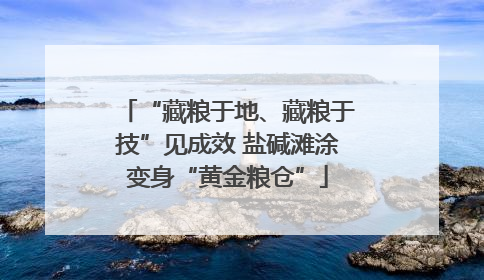 “藏粮于地、藏粮于技”见成效 盐碱滩涂变身“黄金粮仓”