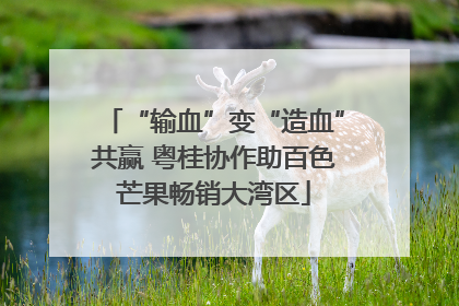 “输血”变“造血”共赢 粤桂协作助百色芒果畅销大湾区